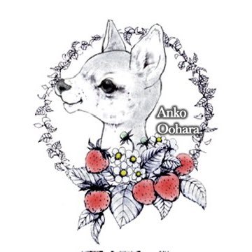 Anko Oohara.🎨さんのプロフィール画像