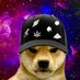 Coinnoisseur (@itscoinnoisseur) Twitter profile photo Coinnoisseur (@itscoinnoisseur) Twitter profile photo