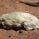 Sebastian Lund - @SebastianLund1 - Twitter