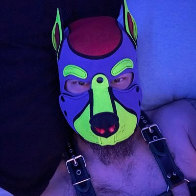 PupVash23's profile picture. 38 yr old/Taken/Fun Puppy/Self-collared/NSFW account @DanielMats41122/DMs Open