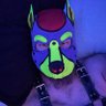 PupVash23's profile picture. 38 yr old/Taken/Fun Puppy/Self-collared/NSFW account @DanielMats41122/DMs Open