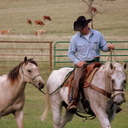 Gary Schad - @Gary4Barry - Twitter