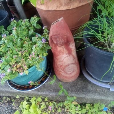 evette85952's profile picture. I love to see all your gardens & wildlife photography.  I love books & creative people 🐸🌳🌲💚🌎💐🌻✨💜🐸🐦🐝🐞🦋🐛 🕊️  🚫No DM's Please 🚫