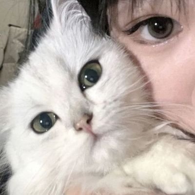 kim_sha11's profile picture. 