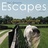 HipCompass's profile image