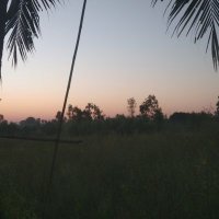 15y (@nnthkrccnn84826) 's Twitter Profile