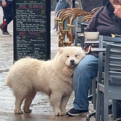 mxp_pppxx's profile picture. 