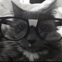 lazie (@thatlazie) 's Twitter Profile