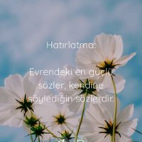 Sevgi Kizar (@kizarsvgi) 's Twitter Profile Photo Sevgi Kizar (@kizarsvgi) 's Twitter Profile Photo