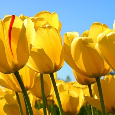 Allx7Andrej's profile picture. 