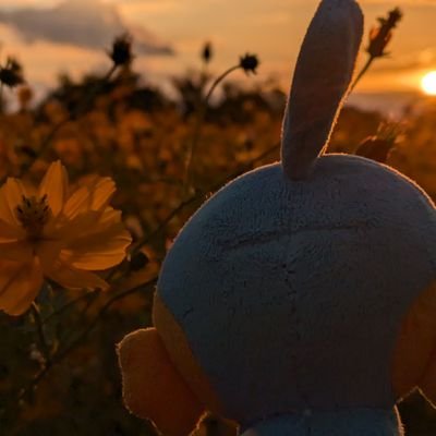 芽李(めり)さんのプロフィール画像