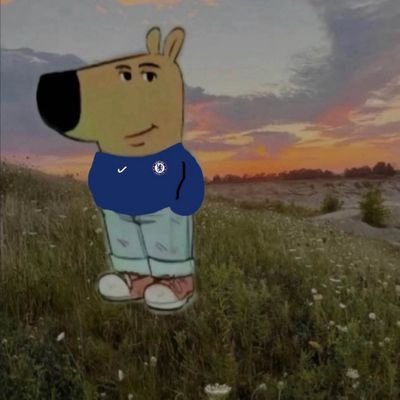 Ayushgamer's profile picture. 25, Gamer, Atheist, Chelsea 💙