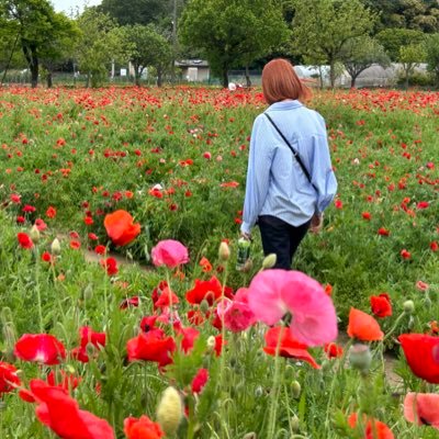 27歳社会人。1年以上、仕事と勉強を両立していましたがやりたいこと(勉強&夢)に集中するため、どうにか休職して勉強に猛進中。もし同じように頑張ってる人がいたら、一緒に頑張ろう💪💪❗️