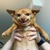 Mr_Hot_Sauce_On_Titties (@joey_issa_hoey) Twitter profile photo Mr_Hot_Sauce_On_Titties (@joey_issa_hoey) Twitter profile photo