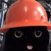 Soveliss Firemane ✡️ (@holfpup) Twitter profile photo