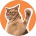 Catslap (@catslaptoken) Twitter profile photo Catslap (@catslaptoken) Twitter profile photo