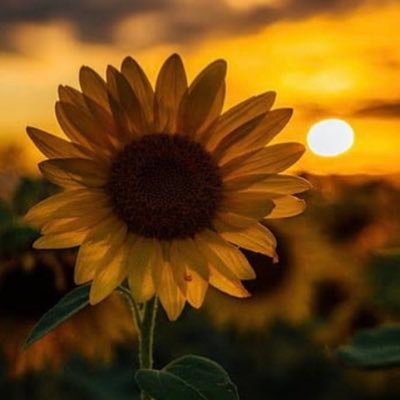 whitegirl_s's profile picture. Be KIND!❤️🫶🏽.