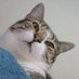 Claralho (@capiclarinha) Twitter profile photo Claralho (@capiclarinha) Twitter profile photo