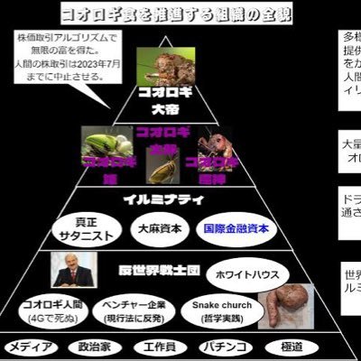 コオロギ大帝さんのプロフィール画像