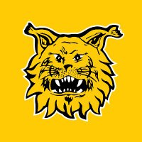 Ilves Football (@ilvesfootball) 's Twitter Profile