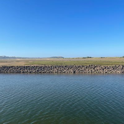 elainexlawsonx's profile picture. 