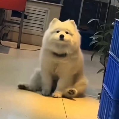 z0eIt's profile picture. 