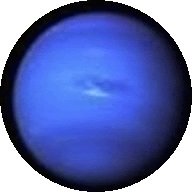 Seventowers777's profile picture. Currently I work with growing perennials and use biologicals for pest control .
Diversity in this arena has proven to be spectacular. pesticide use minimal