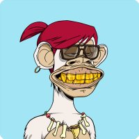 WOJACK (@nftwojack) 's Twitter Profile Photo WOJACK (@nftwojack) 's Twitter Profile Photo