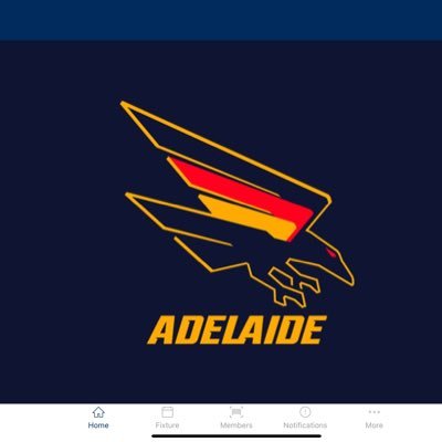 I support mostly South Australian sporting teams. Adelaide Crows, United, SACA, 36ers and Josh Giddey & Dyson Daniel’s. MJ is the GOAT with Kobe 2nd.