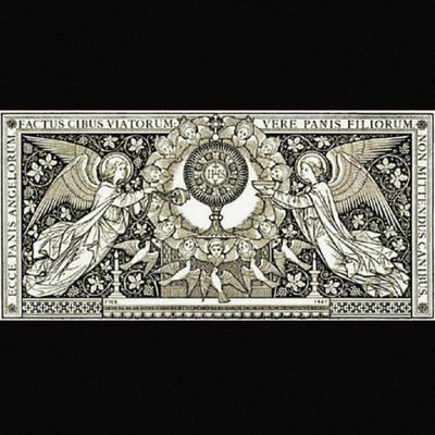 tnlbscltyd's profile picture. 