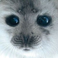 fujie!! (@fujiwiee) 's Twitter Profile Photo fujie!! (@fujiwiee) 's Twitter Profile Photo