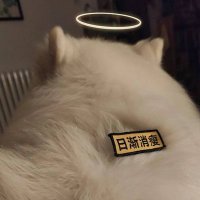 ๆธๅ (@lujunkazekaoru) 's Twitter Profile Photo ๆธๅ (@lujunkazekaoru) 's Twitter Profile Photo