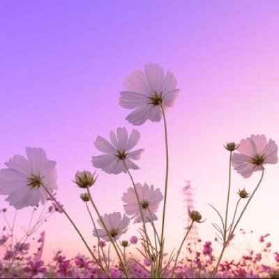 AAddcolor35076's profile picture. 