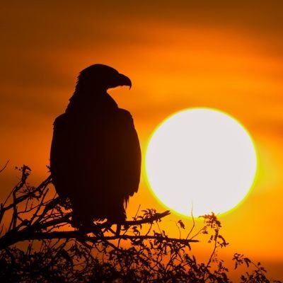 cody55A's profile picture. 🙉🙈🙊