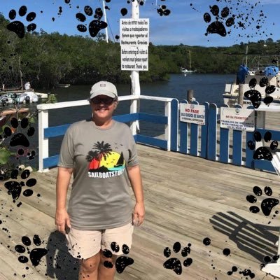 LindaSteve51278's profile picture. retired RN, Board certified nurse educator, certified Brain Injury Specialist and certified in research involving human subjects.
