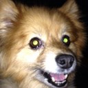 Kerry Allen - @kerritude - Twitter