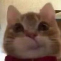 몰티져스 (@thewwniverse) 's Twitter Profile Photo 몰티져스 (@thewwniverse) 's Twitter Profile Photo