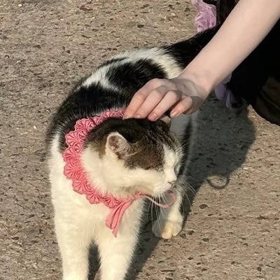 eksal0741's profile picture. 잡덕.아이돌.덕질.일상.잡담/ 레드벨벳💖태민💎테일러 스위프트🦋