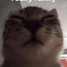 equzii_'s profile picture. Feng Rat + Billy Enjoyer 
Degen Hour Streamer 
#1 meow enjoyer