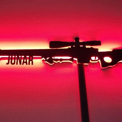 ttvjunar's profile picture. playing halo soon to be competitive madden,played in several tournaments. member of  @RegimentGG USMC and ARMY Vet