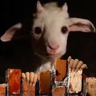 lovablegoat's profile picture. Probably rage-baited you 🥬🐐