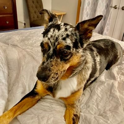 Countrygal12511's profile picture. 