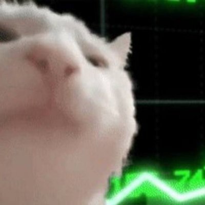 zzplifff's profile picture. Come catch a vibe

https://t.co/mJSkKWwpn9