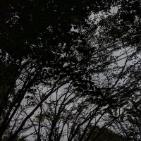 む、 (@yuyuyu_6116) 's Twitter Profile