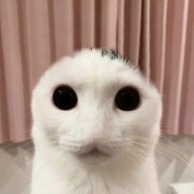 ^^さんのプロフィール画像