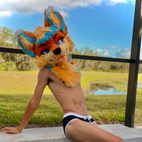 ApolloFolfsky🔜FWA (@apollothefolf) 's Twitter Profile