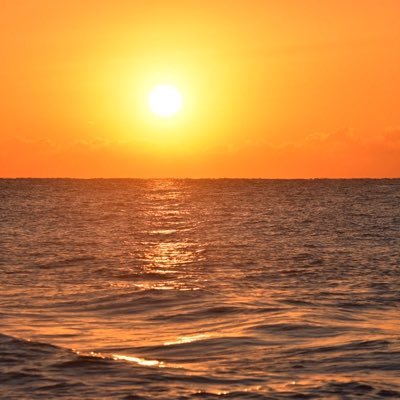 toyotarou0532's profile picture. 思うがまま。