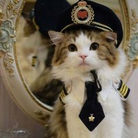 ⁦👩🏽‍✈️⁩✈️⚛️ 𝒞𝒽𝒶𝒾𝓂𝒶ℯ ℬ.²² 🇲🇦👩🏽‍🚀🚀 (@chaimaeb13) 's Twitter Profile Photo