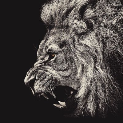 simp_yt's profile picture. https://t.co/XbXRXkyY0y  https://t.co/iH0OKttj6T