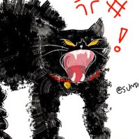 Sundaynight26 (@sundaynighttt) 's Twitter Profile